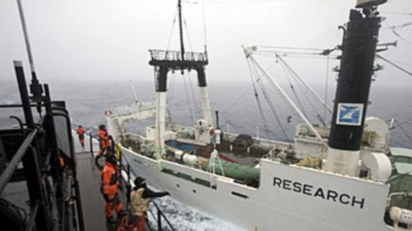 Sea Shepherd has launched two of its own ships to intercept the Japanese fleet.