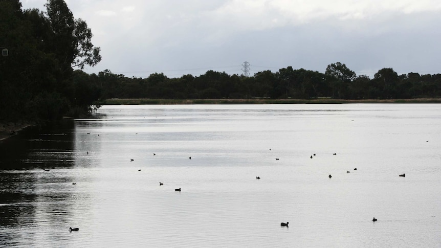 Bibra Lake in Perth