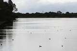 Bibra Lake in Perth