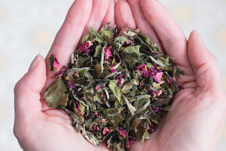 A white woman's hands holding tea leaves with rose petals. 