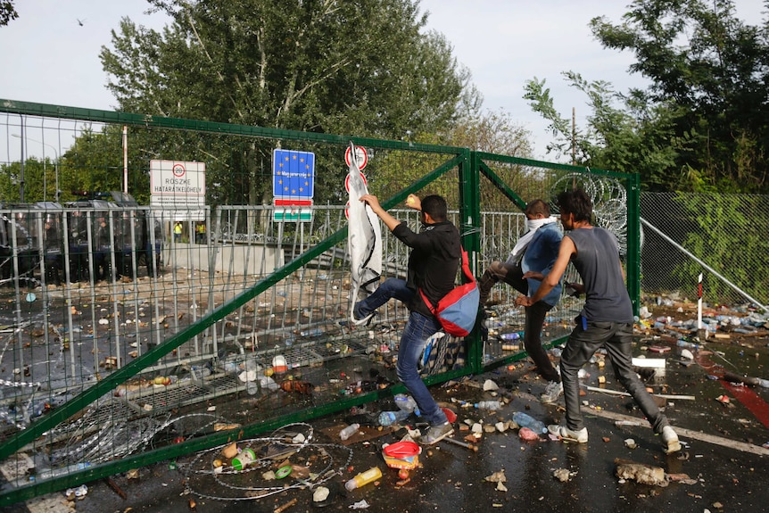 Migrants kick the fence on the Serbian side of the border