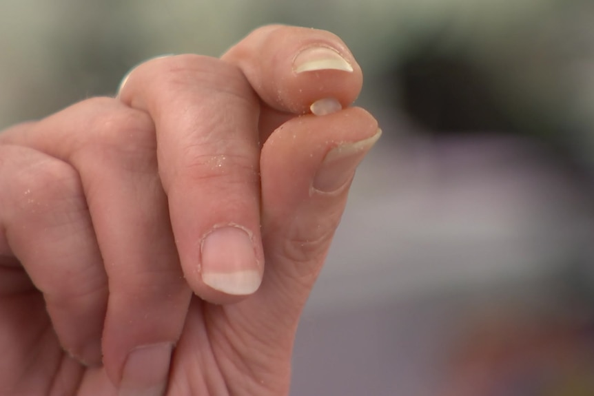 A hand is seen holding up a small round opaque circular object.