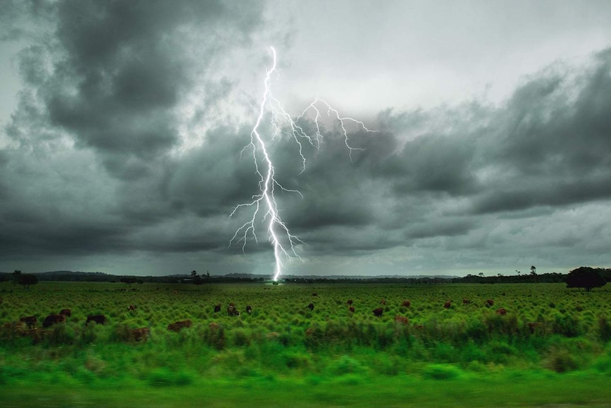 Lightning strike during storm at Caloundra in hinterland on Queensland's Sunshine Coast on afternoon of November 7, 2017.