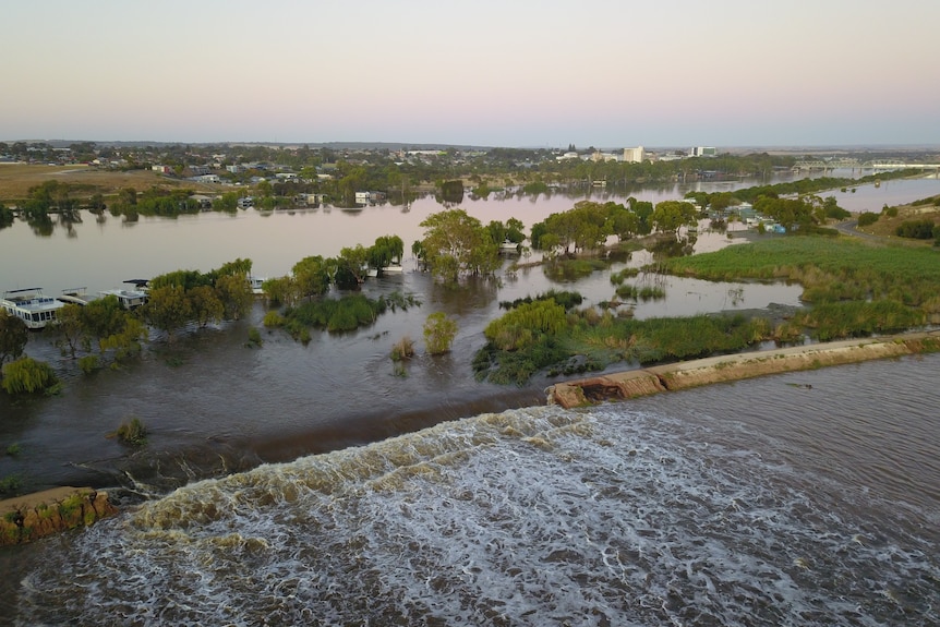 A drone shot of River Murray floodwaters rushing over the breached levee at Long Flat by the Westlake's farm.