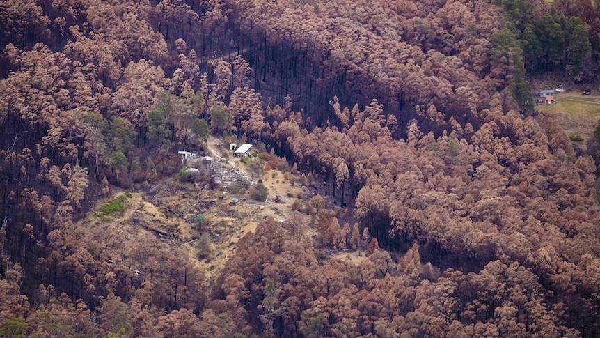 Blackened forest surrounds homes in the Huon Valley. There are signs some structures have been destroyed.