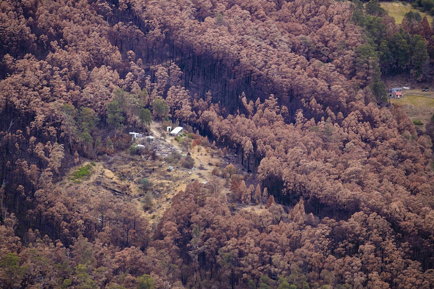 Blackened forest surrounds homes in the Huon Valley. There are signs some structures have been destroyed.