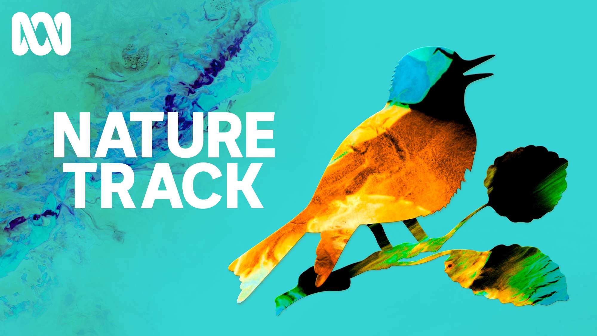 A colourful illustration of bird on a green wash background