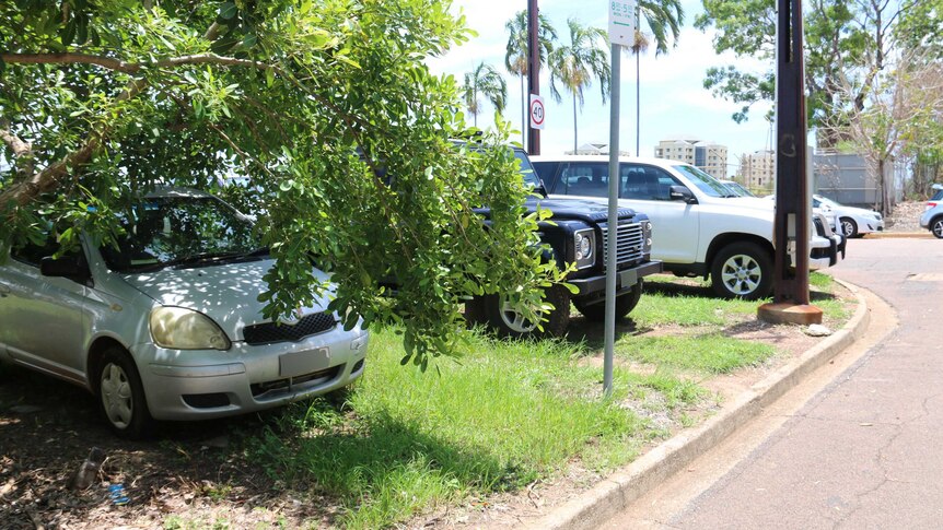 Cars parked on grass on a footpath.
