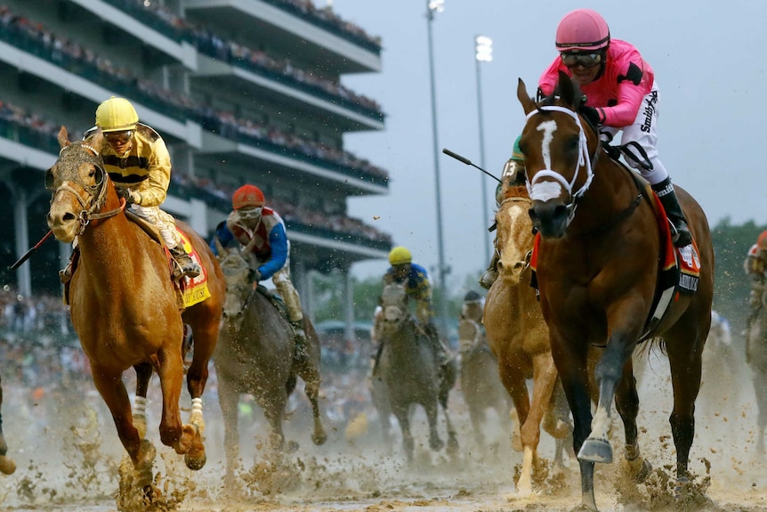 A racehorse churns through mud to finish first ahead of a rival out wide and the rest of the field.