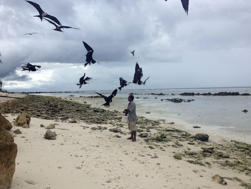 Adonis Gioura demonstrates the practice of frigatebird catching on Nauru.