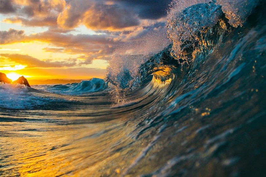 Gold Coast wave