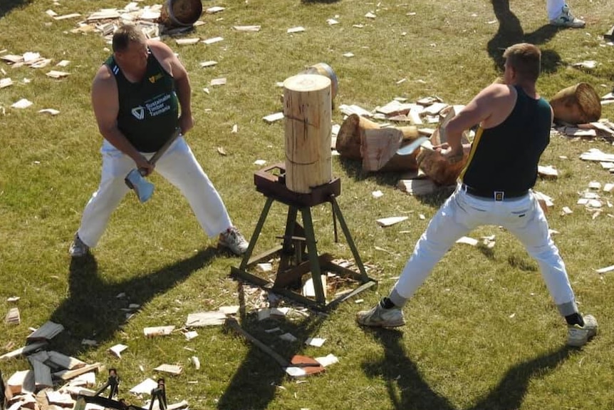 Men competition in a woodchopping competition.
