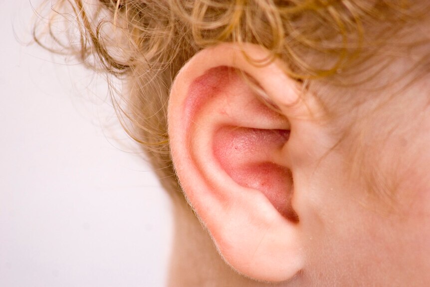 An image of a human ear.