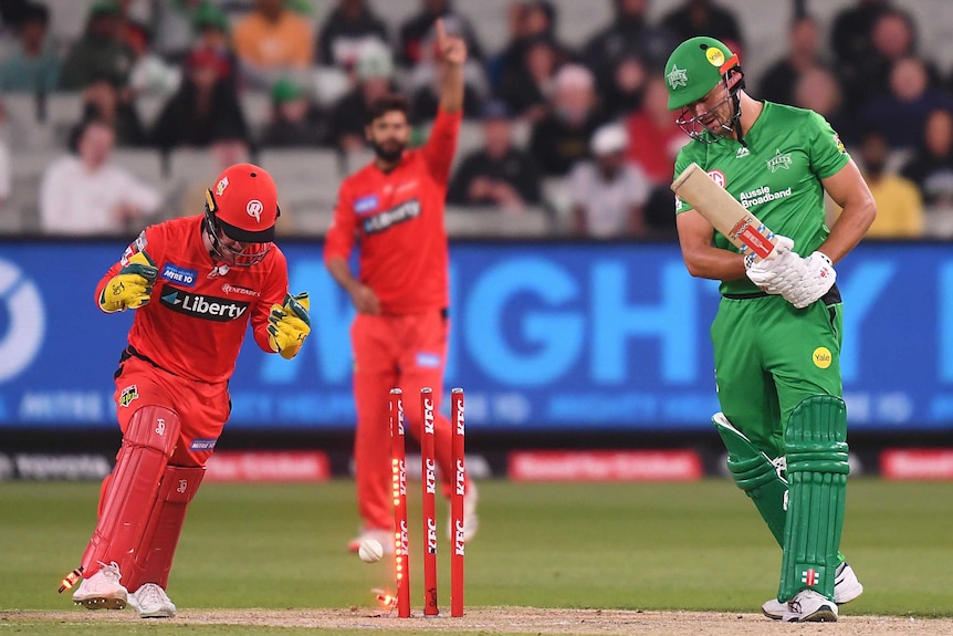 Marcus Stoinis looks down at the ground as a wicketkeeper wearing red claps his hands next to some broken stumps