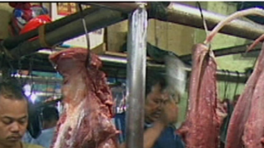 Australia suspended live beef exports to Indonesian abattoirs featured in a report by ABC TV's Four Corners.
