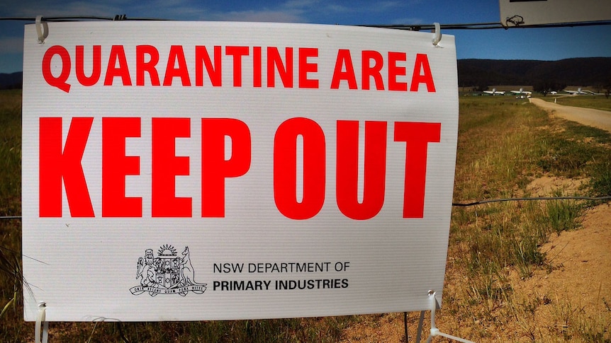 Quarantine warning sign about bird flu outbreak