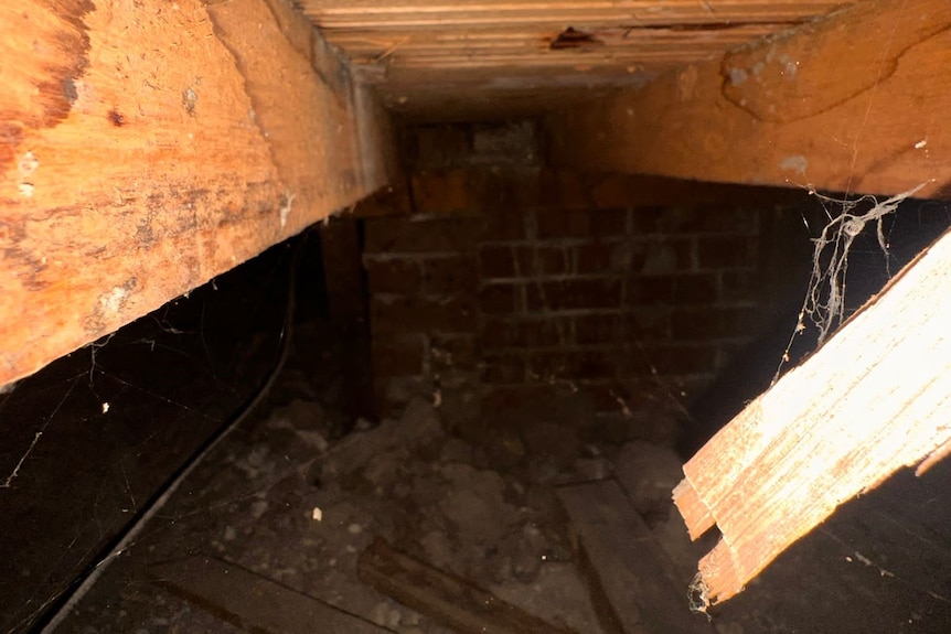 The underneath of a home showing wooden floorboards, with some appearing to be loose.