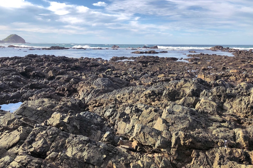 Geotrail rocks at Shelley Beach
