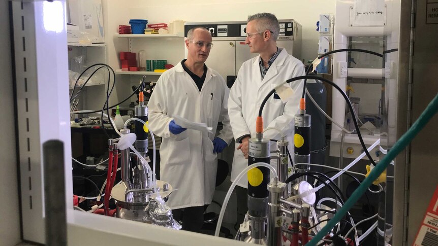 Two scientists talking to each other in white lab coats in front of scientific apparatus
