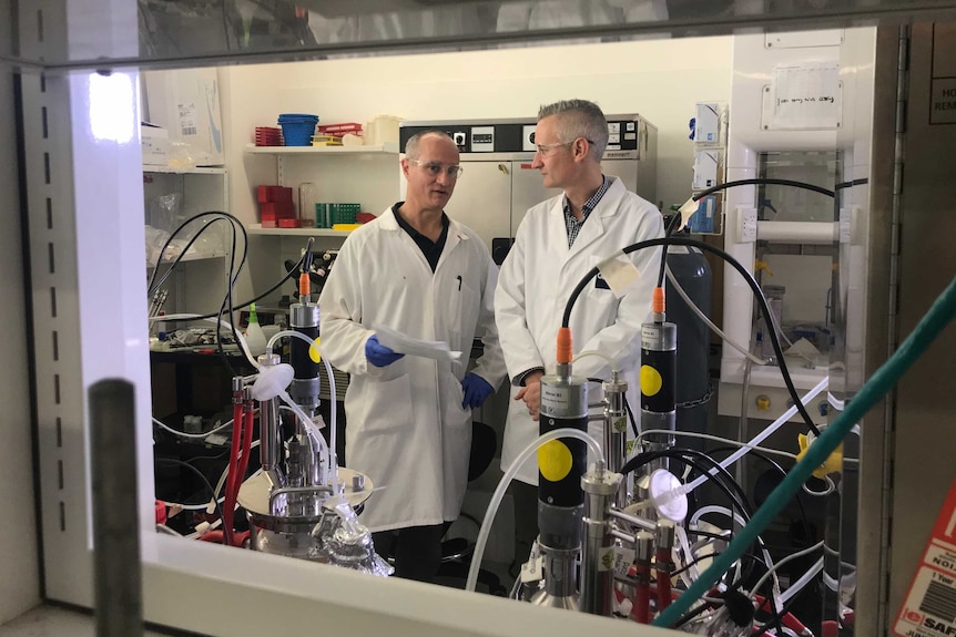 Two scientists talking to each other in white lab coats in front of scientific apparatus