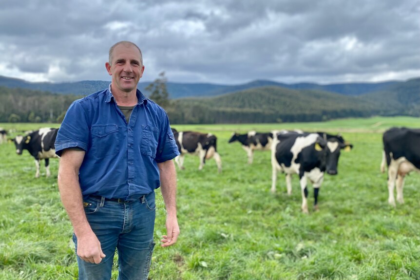 A farmer stands in an intensely green paddock under a cloudy sky with his herd of dairy cows.