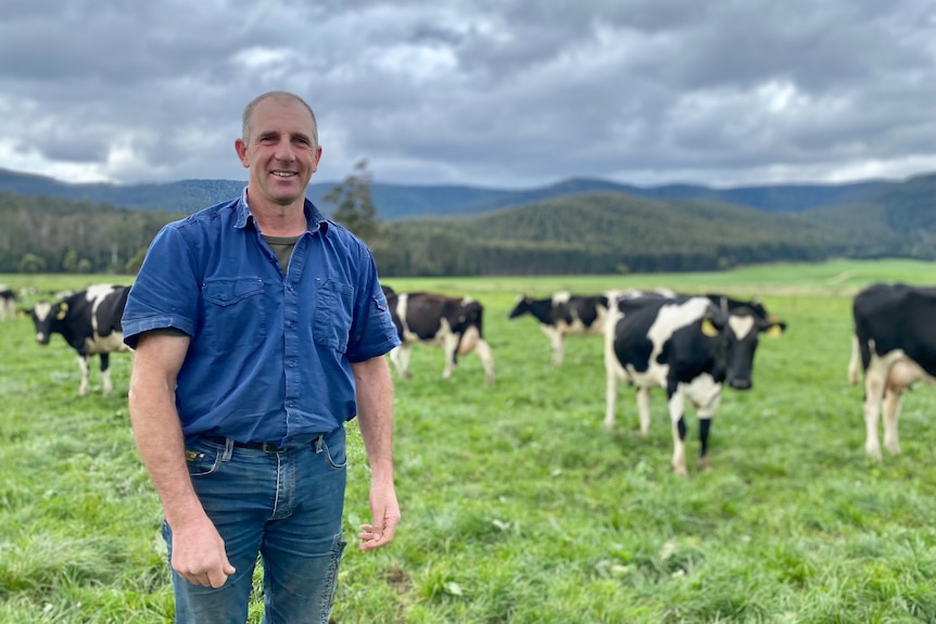 A farmer stands in an intensely green paddock under a cloudy sky with his herd of dairy cows.