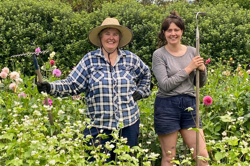 two women stand in a bed of flowers holding a rake and garden hoe