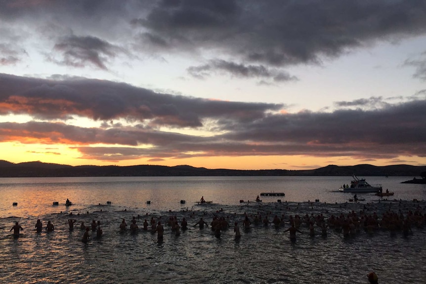 People run into the water at dawn at a Hobart beach.