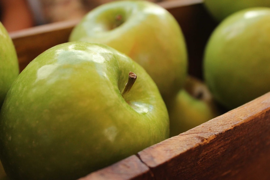 A box of green apples.