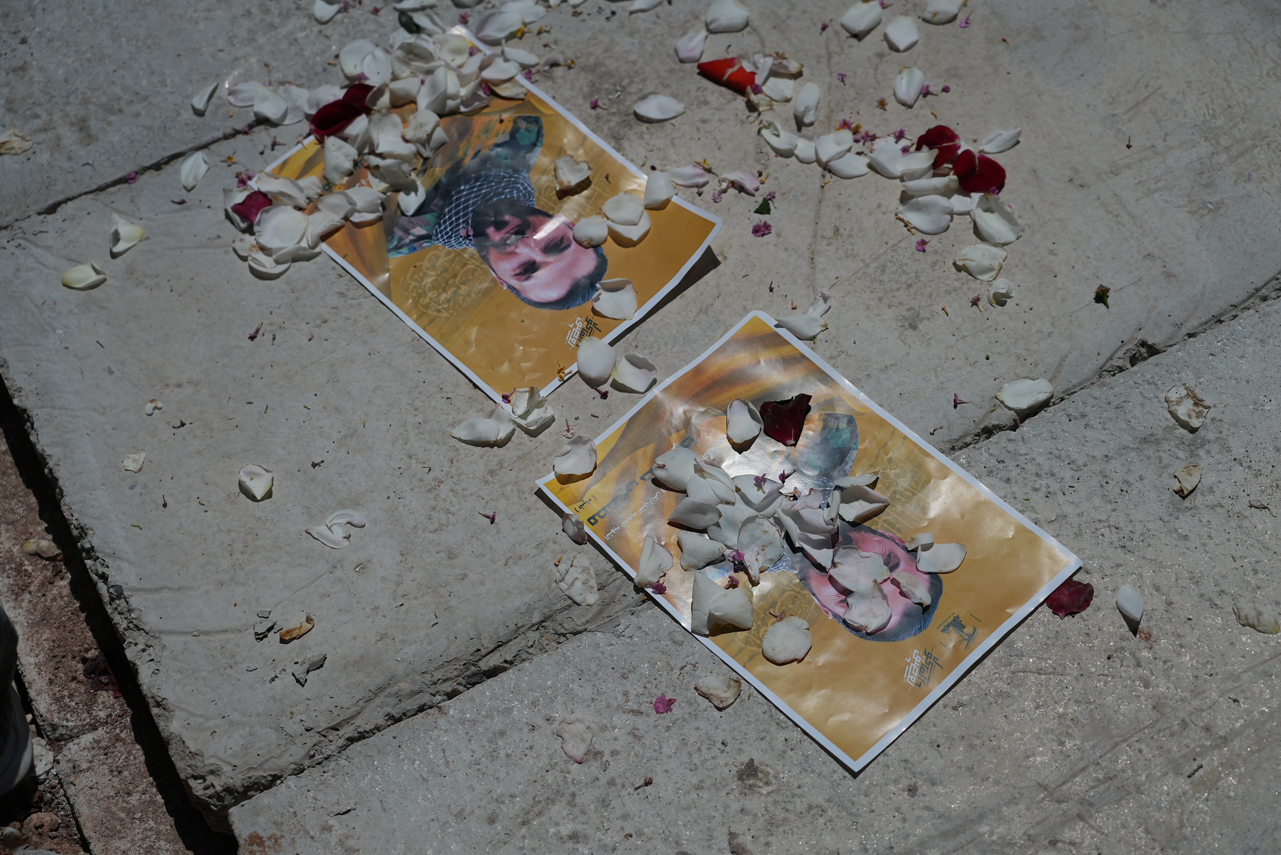 Two pictures on the floor covered with flower petals.
