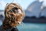 A woman's face is obscured by her hair being blown by the wind, Sydney Opera House is in the background