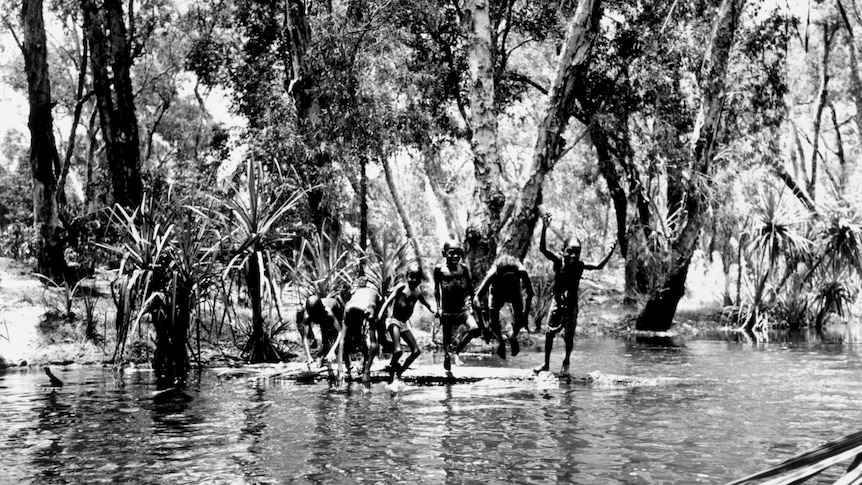 A group of children swimming in a river.