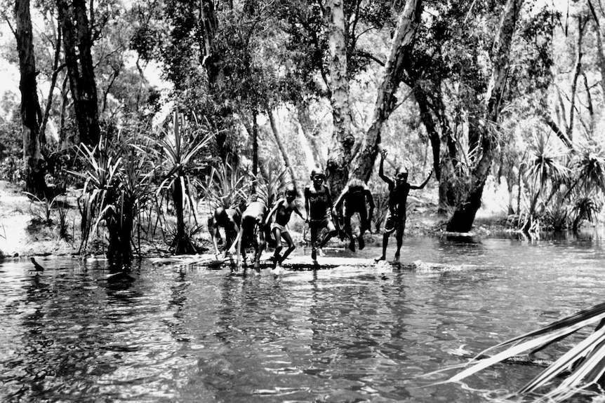 A group of children swimming in a river.