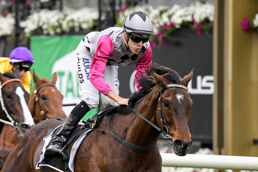 Surprise Baby winning a race at Flemington