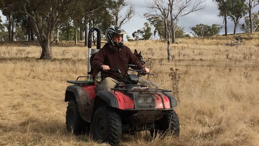 Rider with rollover protection