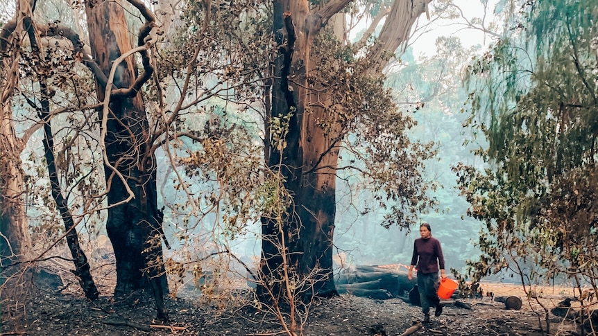 A woman walks through a burnt out forest.