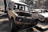 Bushfire aftermath in Coonabarabran