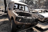 Bushfire aftermath in Coonabarabran