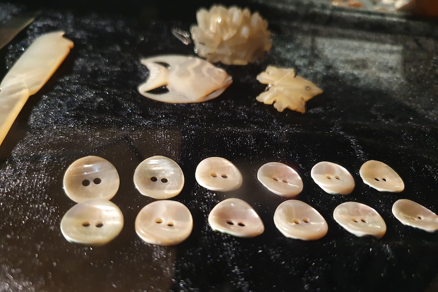 pearl shell buttons in a row