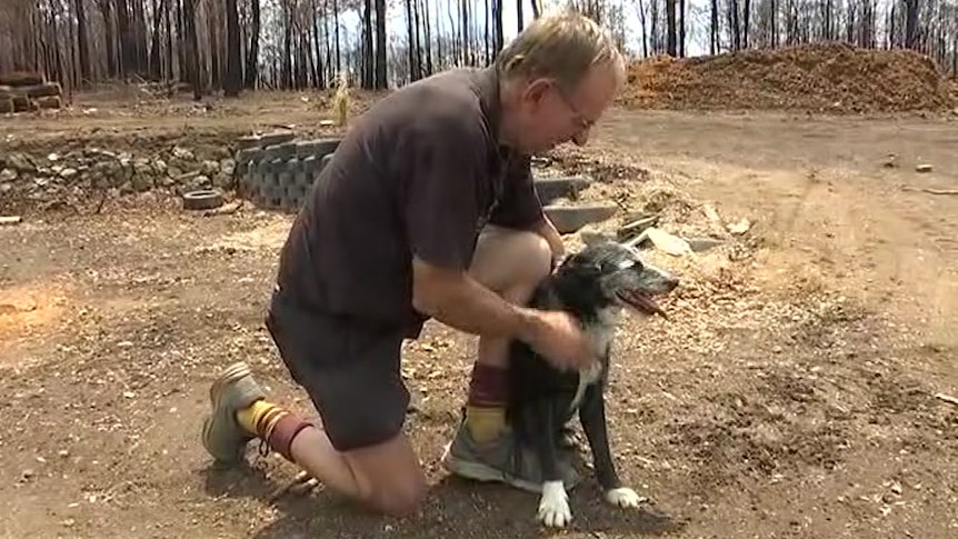 a man bending down and patting his dog