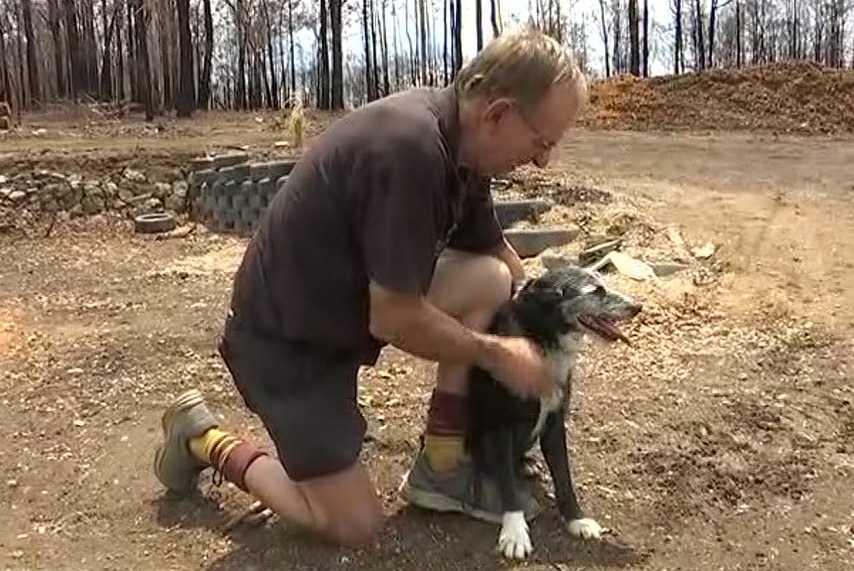 a man bending down and patting his dog