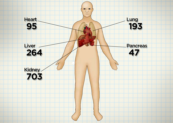 Organ transplants done in 2015: 95 hearts, 264 livers, 703 kidneys, 195 lungs, 47 pancreas