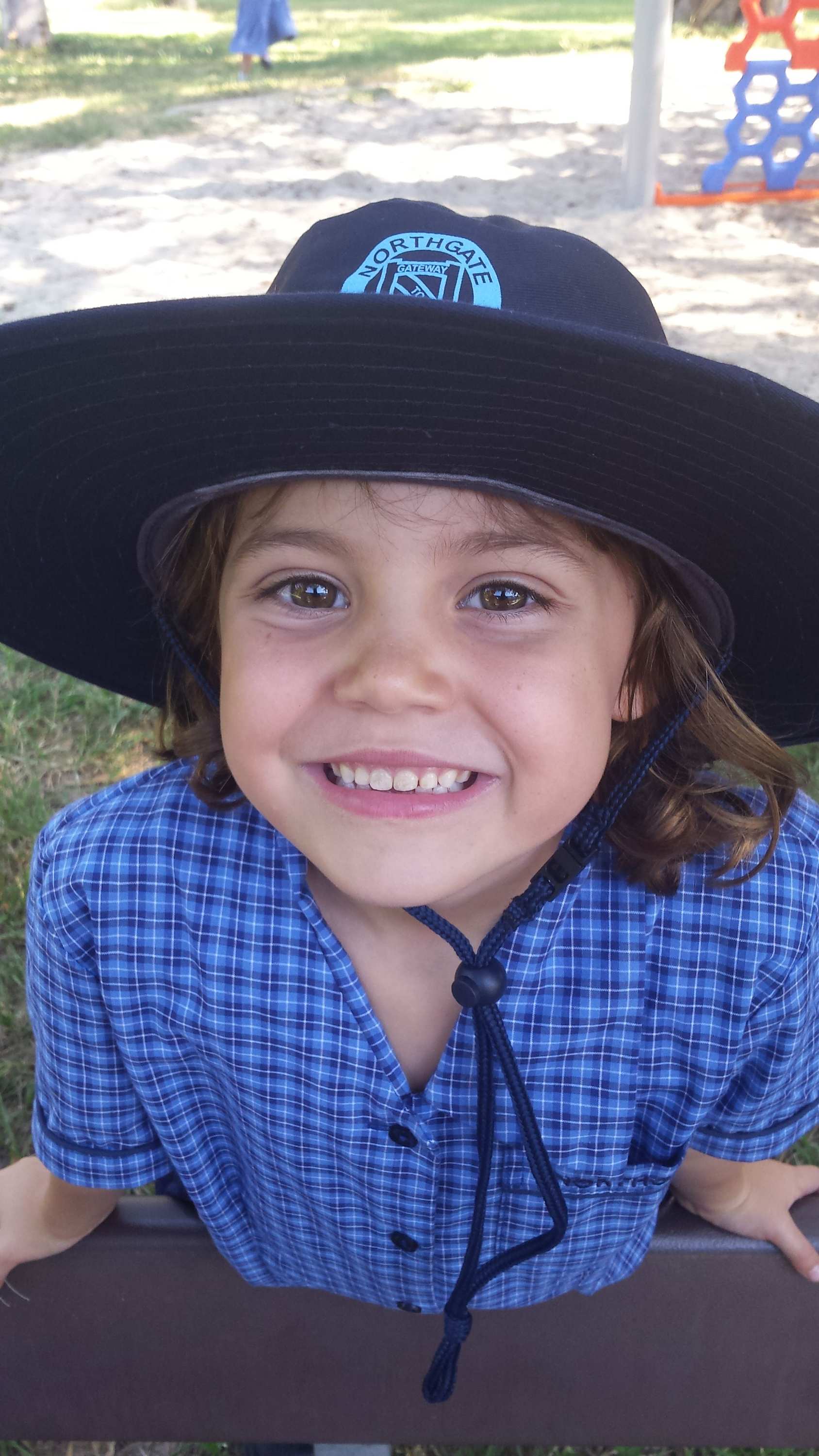 Spring Blossoms - Floral Prints