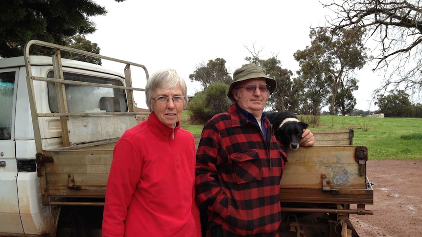 Free-range pig farmers Peter and Cathy Bradford, Boyup Brooke, Western Australia