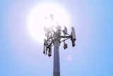 The sun blazes behind a mobile phone tower.