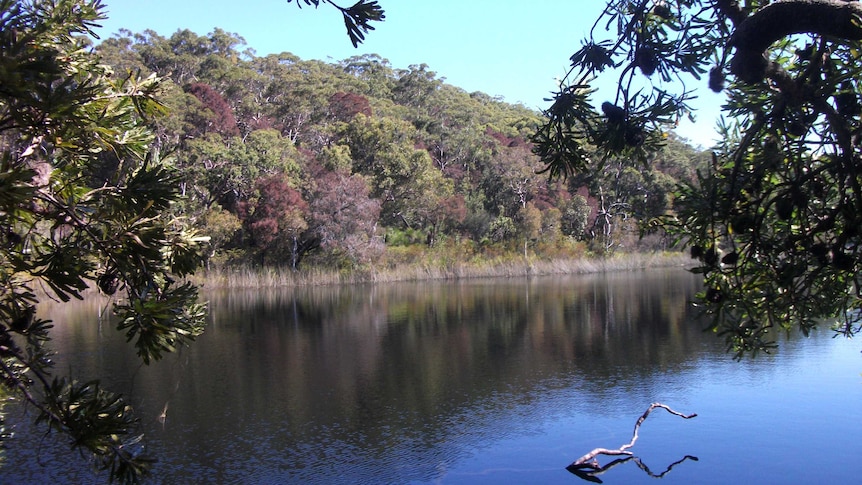 Blue Lake on North Stradbroke Island.