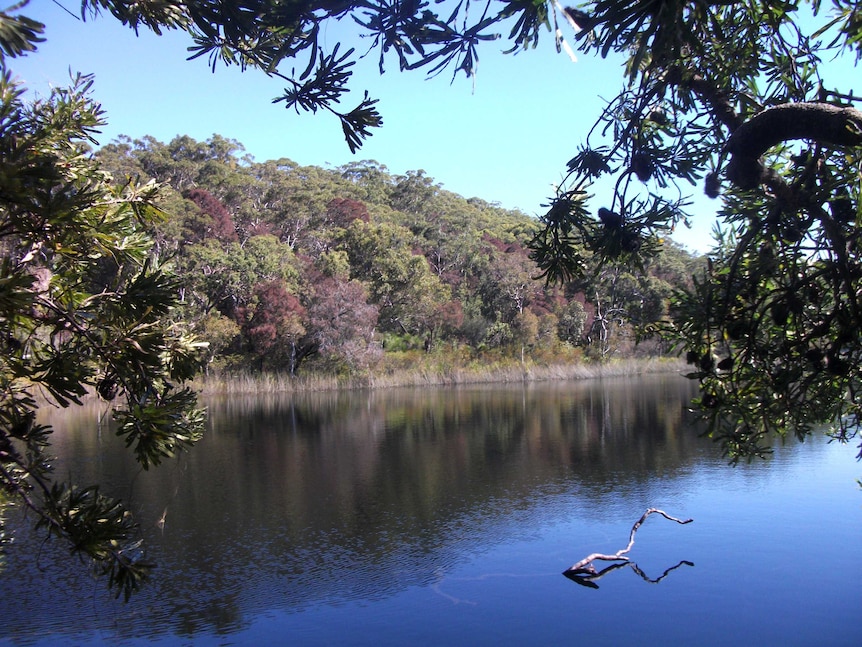 Blue Lake on North Stradbroke Island.