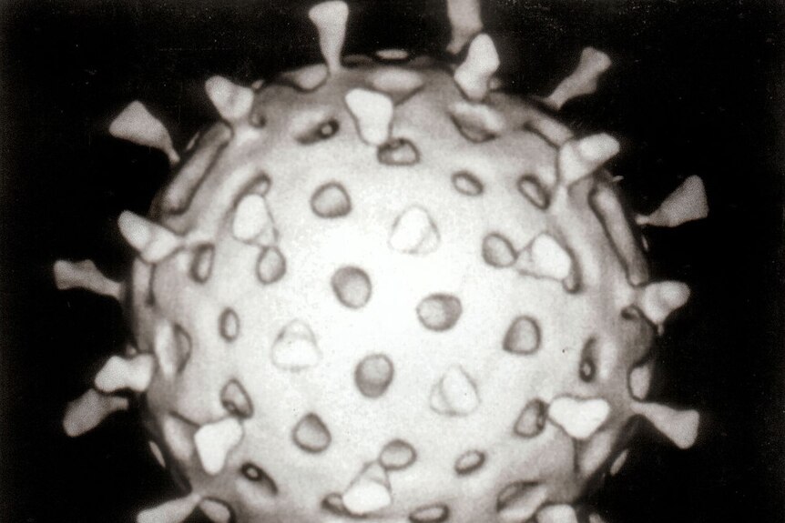A rotavirus particle.