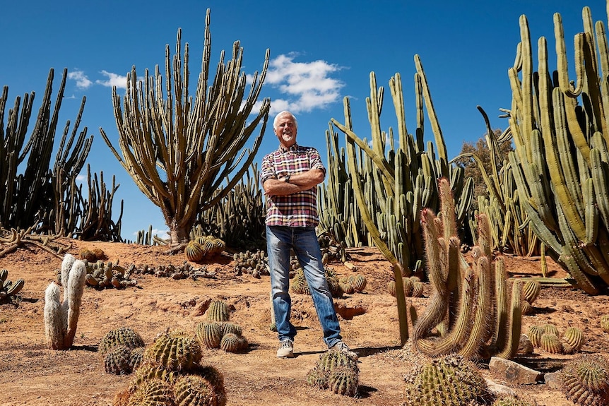 a man stands surrounded by cacti