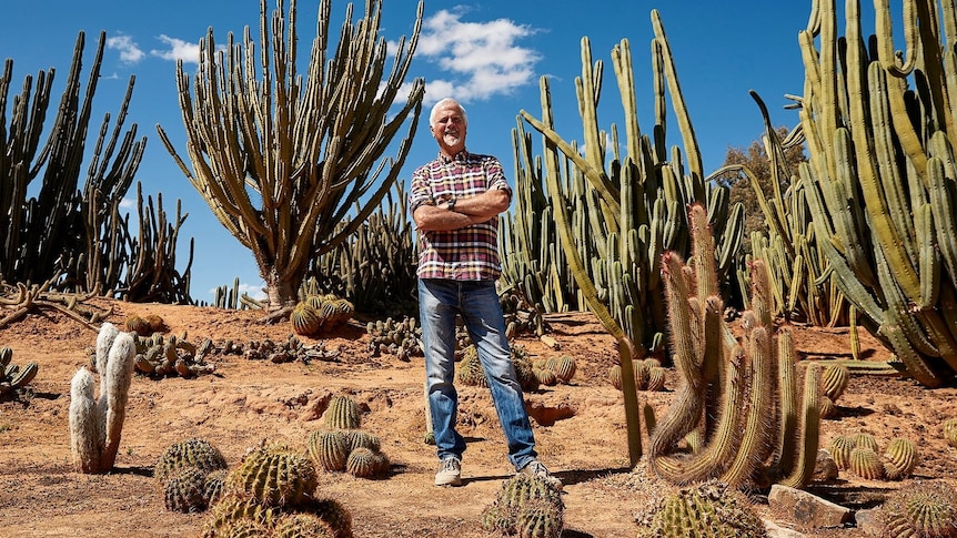 a man stands surrounded by cacti
